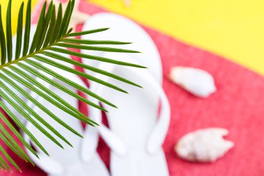 Tropikal arka plan Palm ağaçlar dalları ile bulanık ayarla, kadının şeyler aksesuarları Beach sezon için.