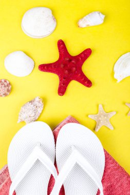 Kadının şeyler aksesuarlar, Beach Sezon dizi.