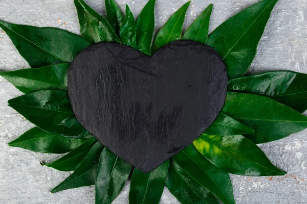 Layout creativo fatto di foglie con nota di piastra di ardesia nera . — Foto Stock