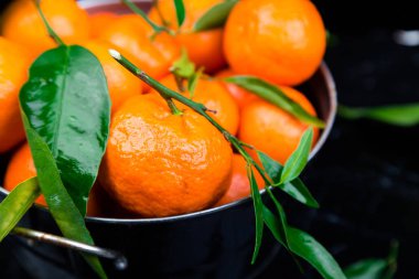  Mandalina arka plan. Lezzetli ve güzel narenciye.