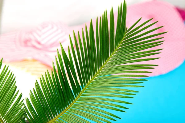 Sommeroutfit verschwimmt. tropische Palmenblätter — Stockfoto