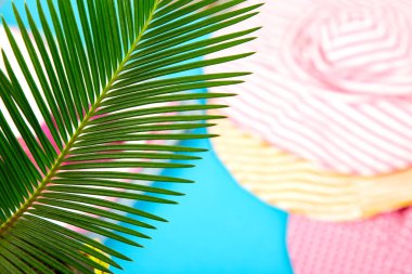 Yaz tropikal yeşil palmiye arka plan bırakın. Minimalist kavramı. yat, görünümü, kopya alanı top. Yaz kıyafeti bulanık