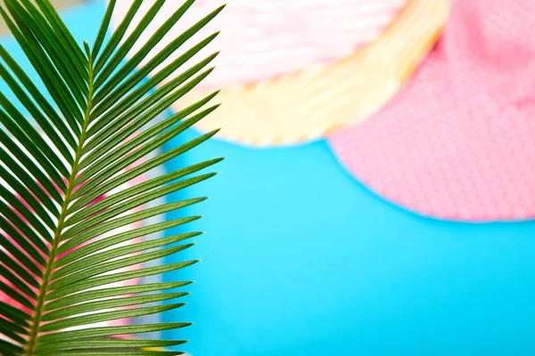 Sommer Tropischen Grünen Palmen Verlassen Hintergrund Minimalistisches Konzept Flache Lage — Stockfoto
