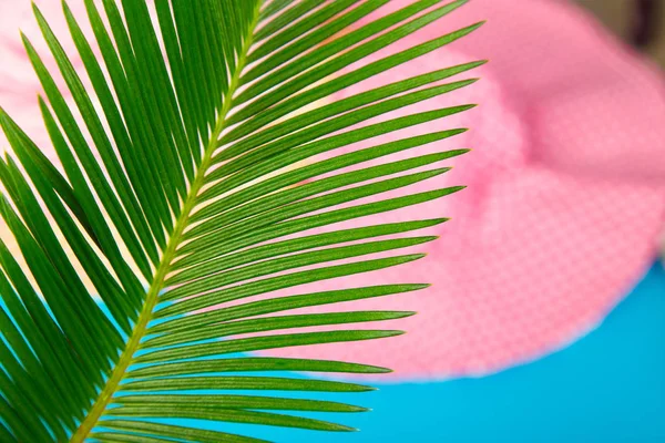 Summer tropical green palm leave background. Minimalist concept. flat lay, top view, copy space. Summer outfit blurred
