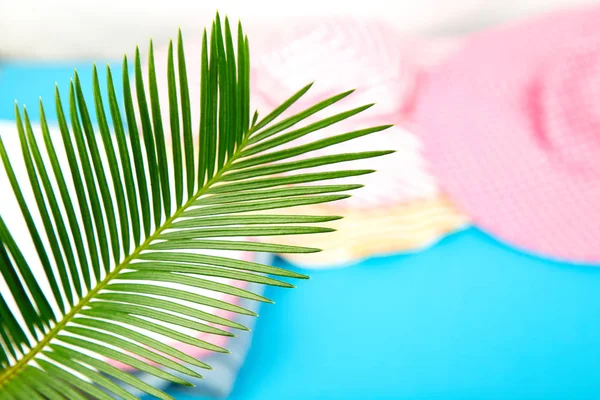 Sommer Tropischen Grünen Palmen Verlassen Hintergrund Minimalistisches Konzept Flache Lage — Stockfoto