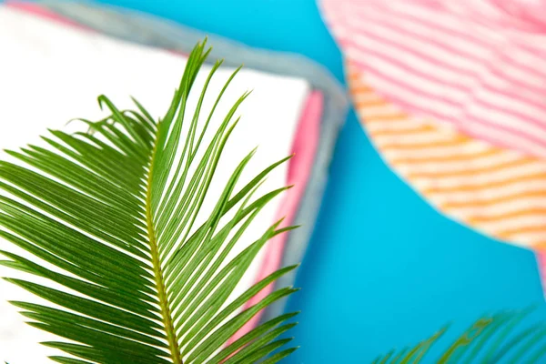 Summer tropical green palm leave background. Minimalist concept. flat lay, top view, copy space. Summer outfit blurred