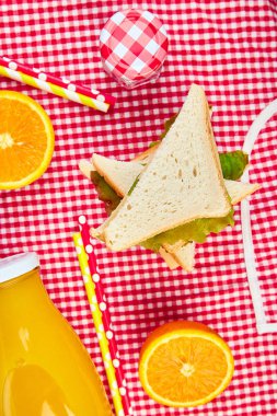 Piknik. Kırmızı masa örtüsü, sepet, sağlıklı gıda sandviç ve meyve, portakal suyu kontrol ettim. Yaz Saati dinlenme. Düz yatıyordu