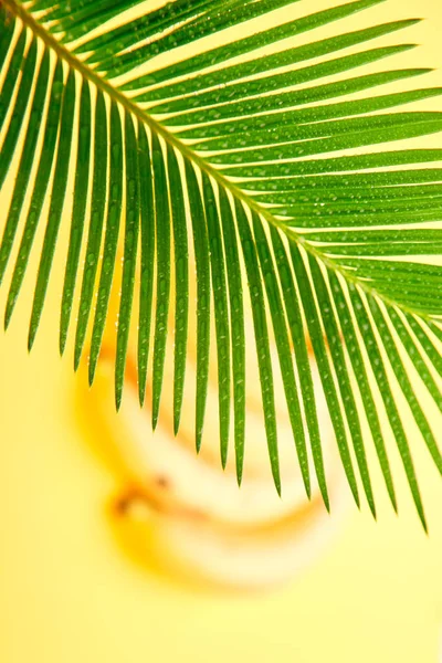 Banana with palm leaf with waterdrop on yellow paper background . Flat lay. Copy space.Minimalist. Summer. Tropical.