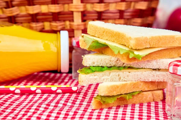 Picnic Red Checked Tablecloth Basket Healthy Food Sandwich Fruit Orange — Stock Photo, Image