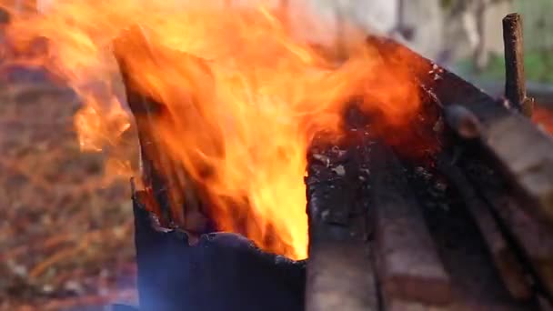 Fire outdoors, preparing to have lunch in nature — Stock Video