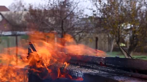 Dışarıda yangın, doğada öğle yemeği için hazırlanıyor. — Stok video