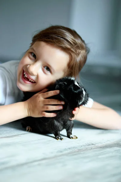 Child Playing Guinea Pig Stay Quarantine Time Kid Home Girl — Stock Photo, Image