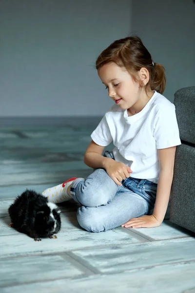 Çocuk Kobayla Oynuyorsa Evde Karantina Altında Kalsın Kız Evcil Hayvanlara — Stok fotoğraf
