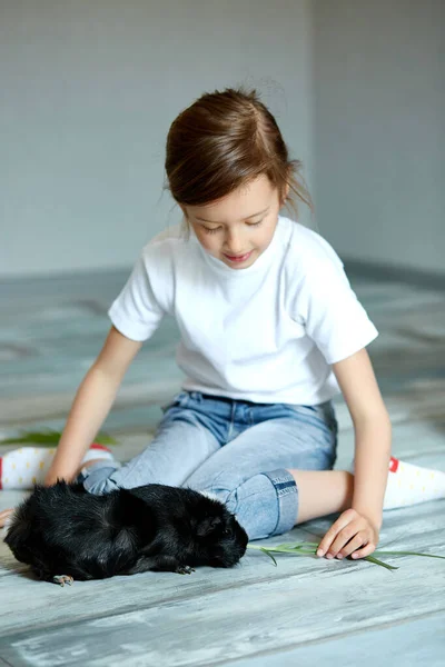 黒モルモット国内動物の世話をする少女 子供は穴の動物に餌を与え 動物園や農場に旅行し ペットの世話をします 隔離時間の子供の家にいて — ストック写真