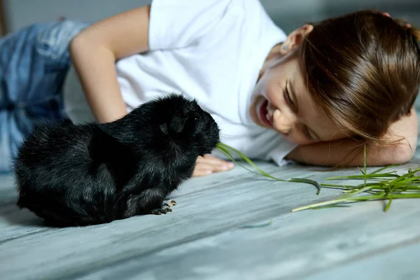 Menina Segurando Alimentando Porquinho Preto Índia Animal Doméstico Crianças Alimentam — Fotografia de Stock