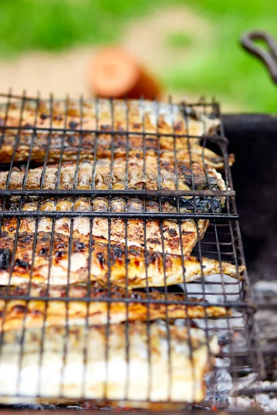 Izgara Balık Uskumrusu Açık Hava Akışında Izgarada Pişirilmiş Lezzetli Taze — Stok fotoğraf