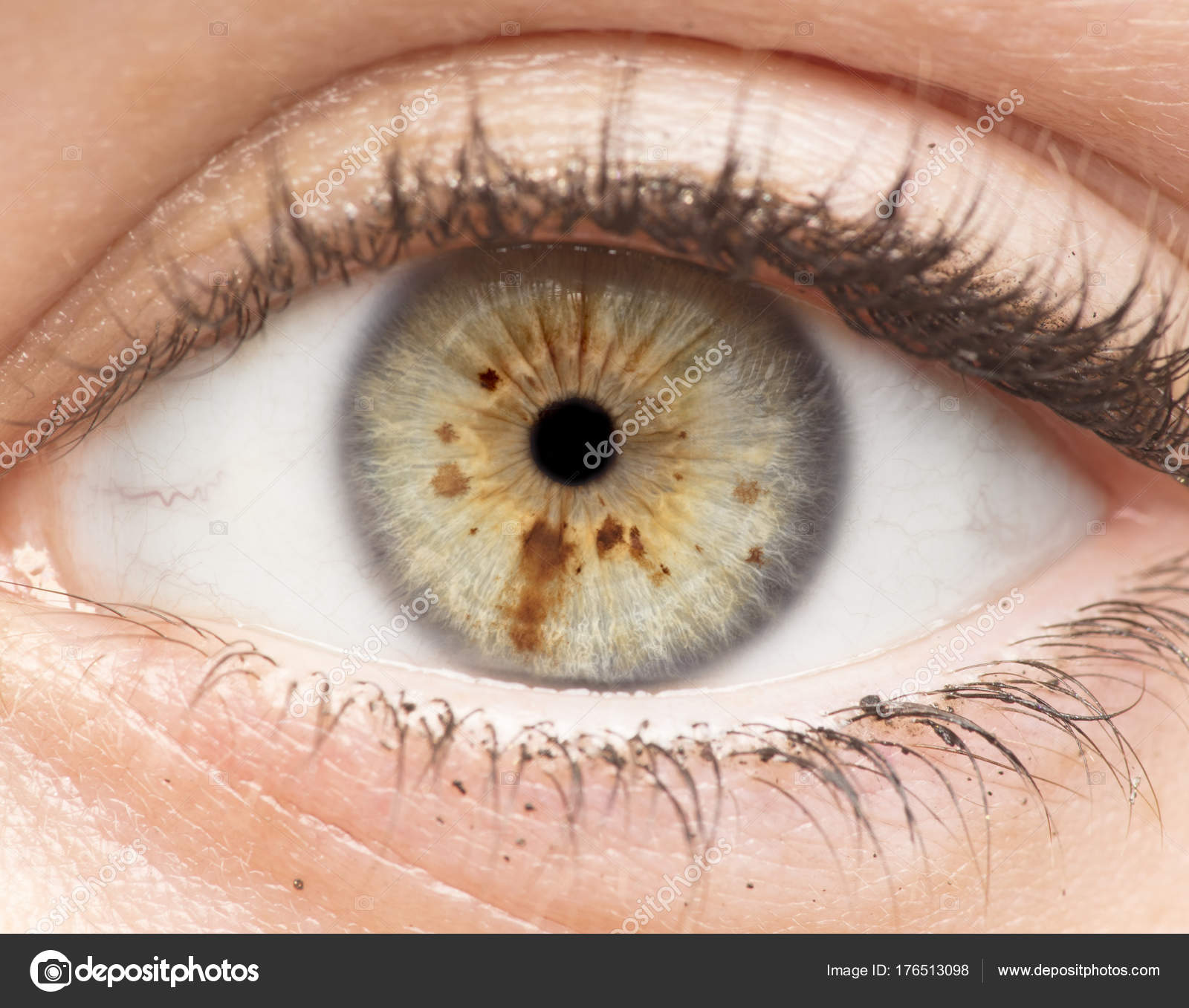 Macro Photo Human Eye Iris Pupil Eye Lashes Eye Lids Stock Photo by