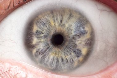 İnsan gözü, iris, göz, göz kirpikleri, göz kapaklarının makro fotoğraf.