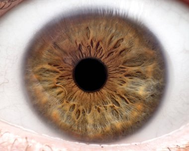 İnsan gözü, iris, göz, göz kirpikleri, göz kapaklarının makro fotoğraf.