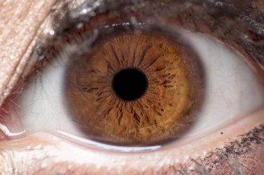 İnsan gözü, iris, göz, göz kirpikleri, göz kapaklarının makro fotoğraf.
