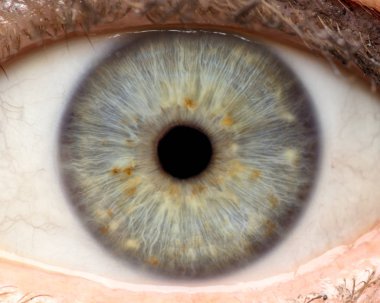 İnsan gözü, iris, göz, göz kirpikleri, göz kapaklarının makro fotoğraf.