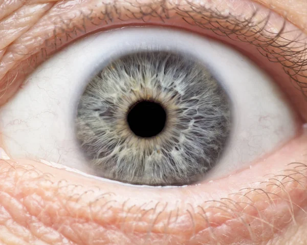 Macro Photo Human Eye Iris Pupil Eye Lashes Eye Lids — Stock Photo, Image