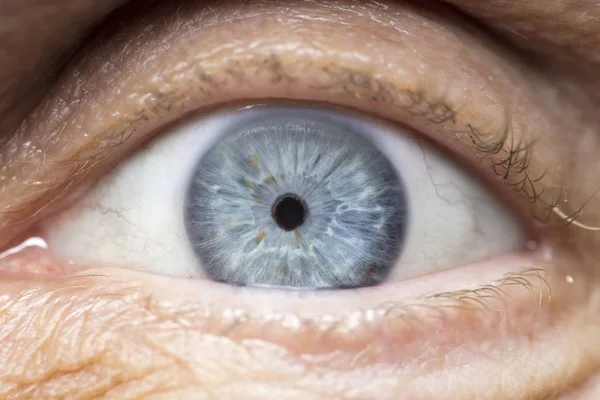 Macro Photo Human Eye Iris Pupil Eye Lashes Eye Lids — Stock Photo, Image