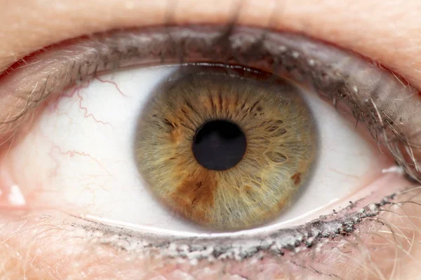 Nsan Gözü Iris Göz Göz Kirpikleri Göz Kapaklarının Makro Fotoğraf — Stok fotoğraf