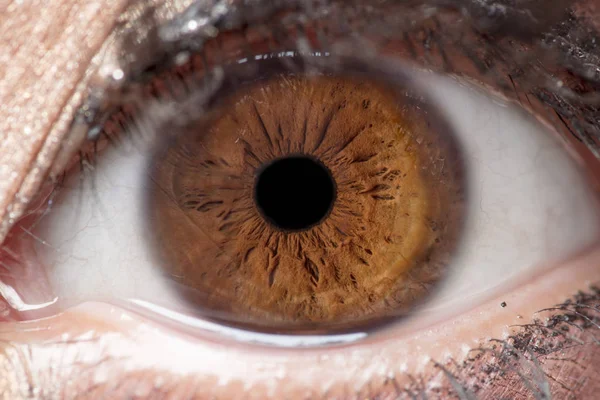 Makroaufnahme Des Menschlichen Auges Der Iris Der Pupille Der Wimpern — Stockfoto
