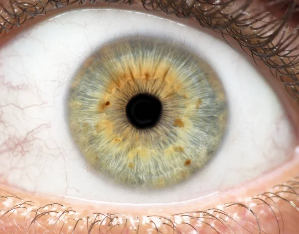 Макрофото Человеческого Глаза Радужной Оболочки Глаза Зрачка Ресниц Глазных Крышек — стоковое фото