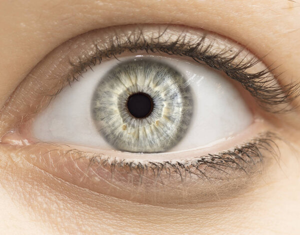 Макрофото человеческого глаза, радужной оболочки глаза, зрачка, ресниц, глазных крышек
.