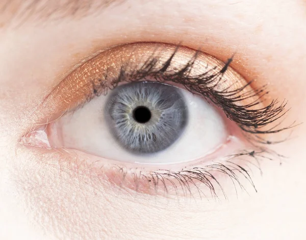 Macro Photo Human Eye Iris Pupil Eye Lashes Eye Lids — Stock Photo, Image