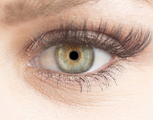 Makroaufnahme Des Menschlichen Auges Der Iris Der Pupille Der Wimpern Stockbild