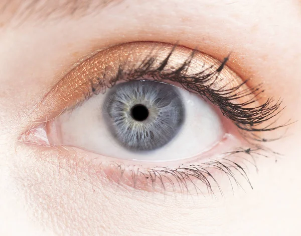 Nsan Gözü Iris Göz Göz Kirpikleri Göz Kapaklarının Makro Fotoğraf Telifsiz Stok Imajlar