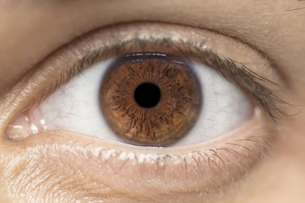 Makroaufnahme Des Menschlichen Auges Der Iris Der Pupille Der Wimpern Stockbild