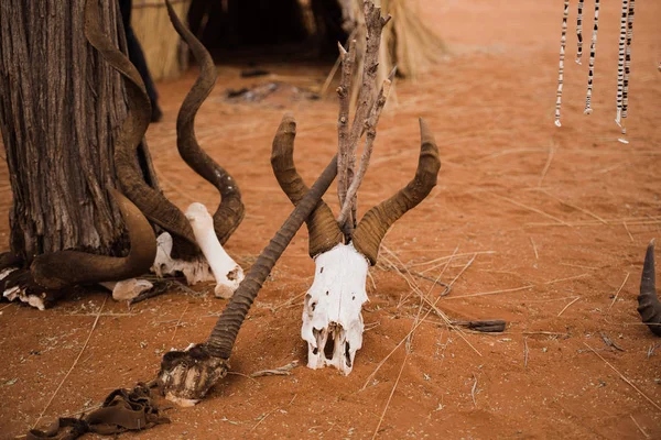 Squelette têtes d'animaux et bijoux traditionnels dans le désert de sable — Photo
