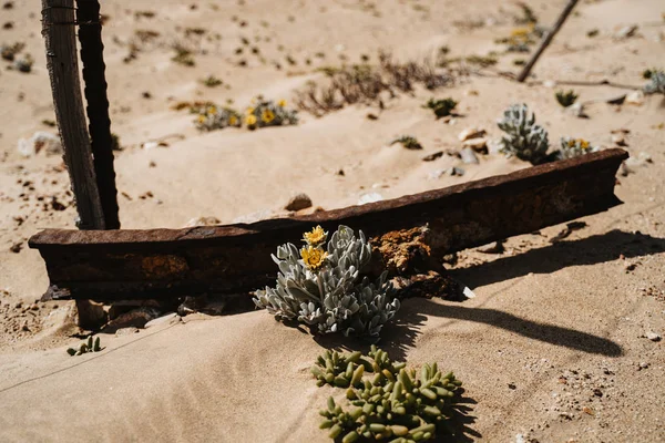 ruins of industrial rotten train tracks and plants in the desert sand