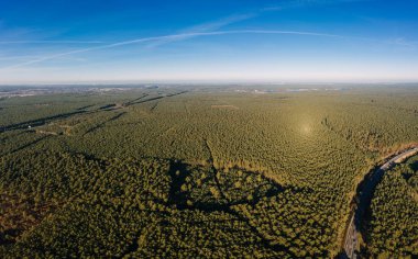 Grunheide ormanının insansız hava aracı fotoğrafı, Berlin-Brandenburg, Tesla giga fabrikası.