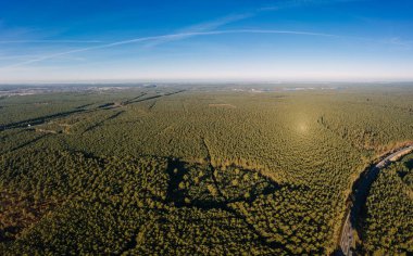drone photo of the forest of Grunheide, Berlin-Brandenburg, Tesla giga factory clipart