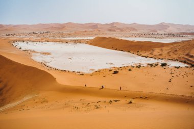 Geniş açılı panoramik drone görüntüsü. Güneşli sıcak kum çölünde ölü ağaçların görüntüsü.
