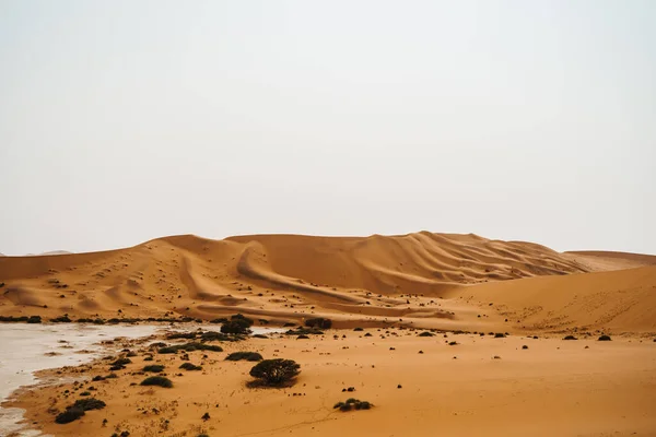 Uitgedroogd woestijngebied en zandstructuur — Stockfoto