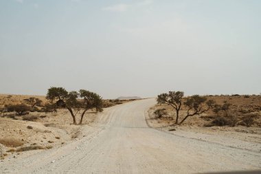 Tozlu 4x4 araba Yalnız yolda yolculuk