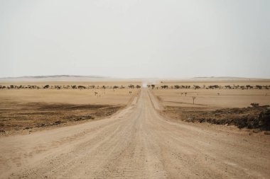 Gerçeküstü Ay manzarasında çöl çakıl yolu