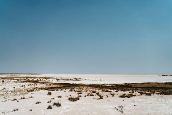 Overdag woestijn landschap van de beroemde Etosha pan in Namibië — Stockfoto