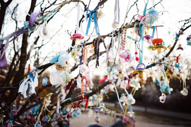 Bir sürü bebek emziği asılı ve arka plan güneşli ağaç