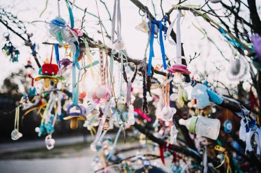 Rüzgarda sallanan bir sürü renkli bebek emziği olan ağaç.