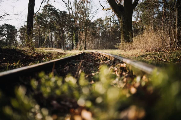 Ferrocarril en el bosque en primavera —  Fotos de Stock