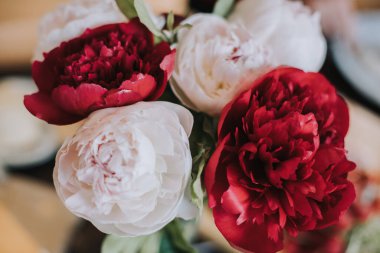 Kırmızı ve beyaz çiçeklerin yakın plan fotoğrafı ahşap arkaplan bulanıklığı