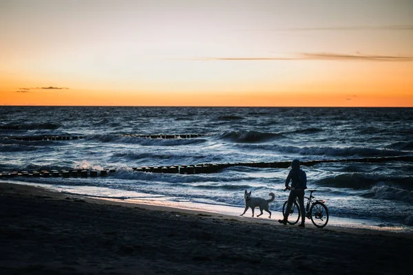 Foto de un hombre con una bicicleta paseando por la playa —  Fotos de Stock