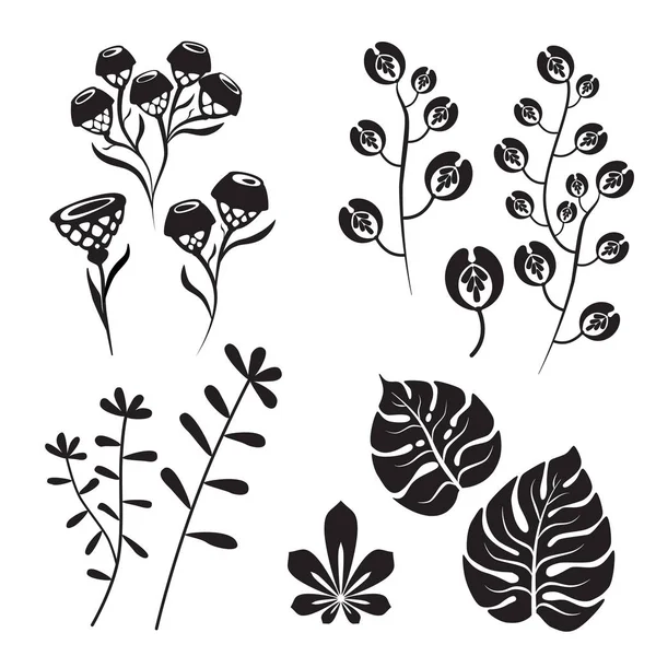 Conjunto de diseño floral, silueta de plantas botánicas y formas simples. Flores, hojas, tallos vector concepto aislado — Vector de stock